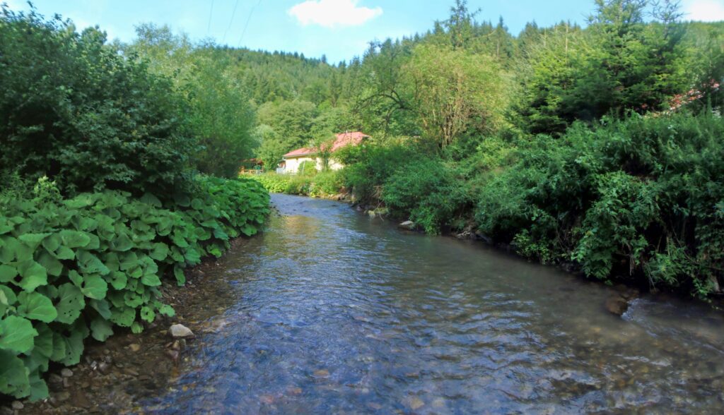 Starohorský potok. Polkanová. Úsek nad veľkou kaskádou. (r.2021/OlympusSP810UZ)