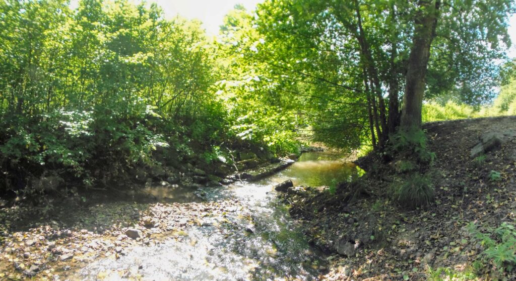 Lukavica. Jelšové. Regulácia toku. (r.2021/OlympusSP810UZ)