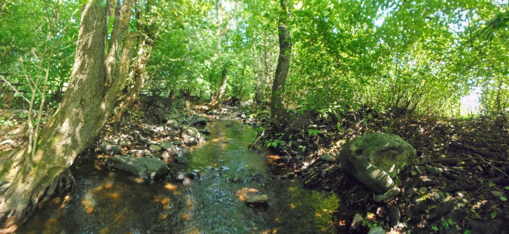 Hučava. Kalinovec. Horný úsek toku. (r.2021/OlympusSP810UZ)