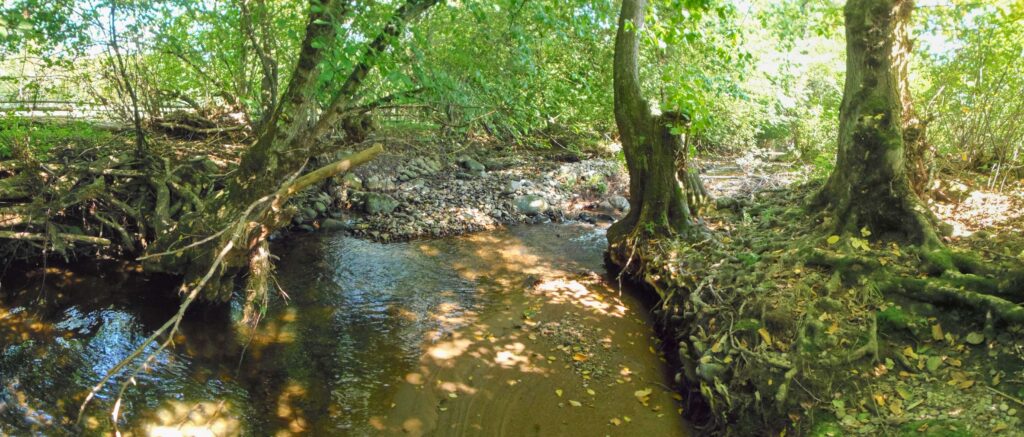 Hučava. Kalinovec. Naplavené kamenie. (r.2021/OlympusSP810UZ)