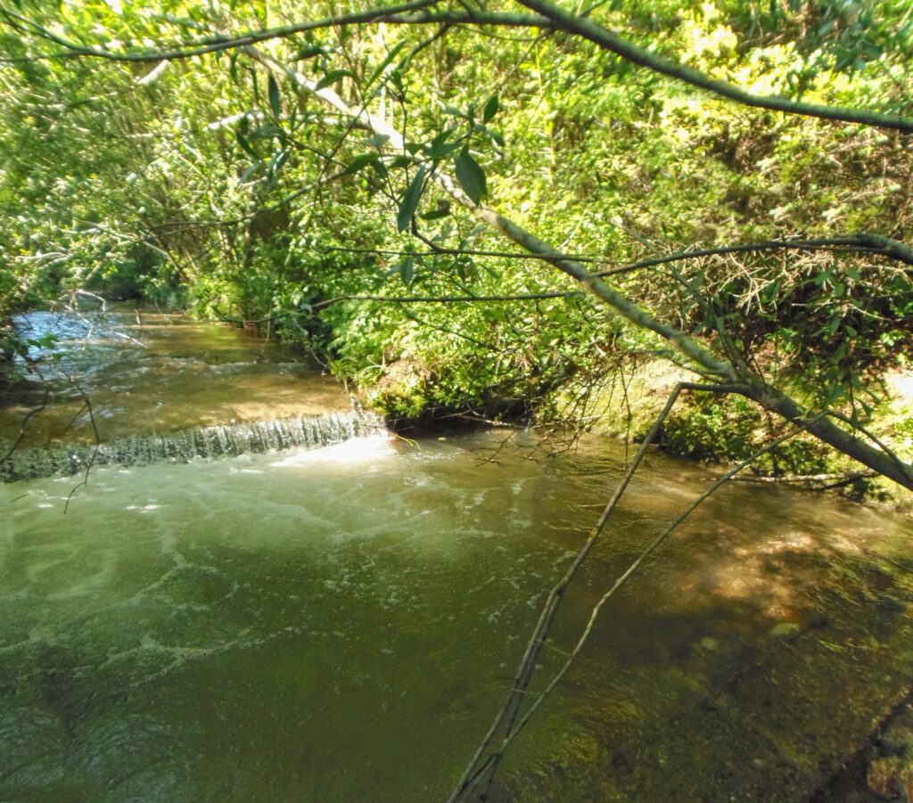 Ľupčica. Bukovinka. Prvá kaskáda. (r.2021/OlympusSP810UZ)