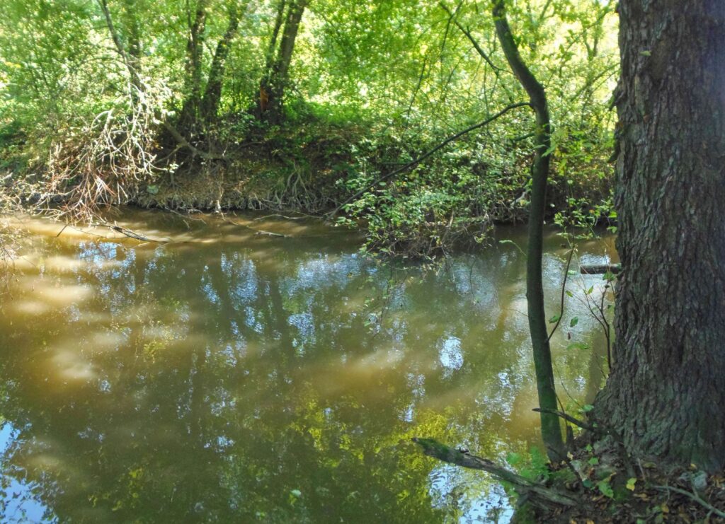 Slatina. Rohy. Pohľad spoza stromu. (r.2021/OlympusSP810UZ)