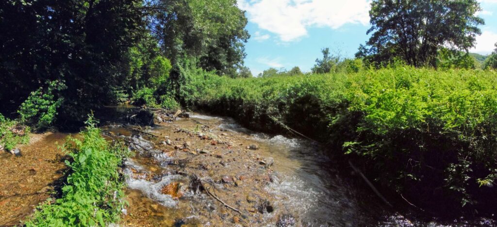 Moštenický potok. Breziny/Drahy. Prúdy potoka. (r.2021/OlympusSP810UZ)