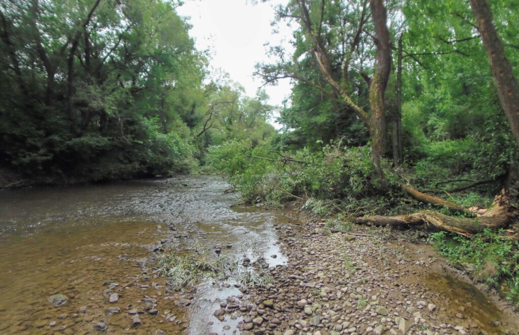 Slatina. Pod Víglašským zámkom. Brehy rieky. (r.2021/OlympusSP810UZ)