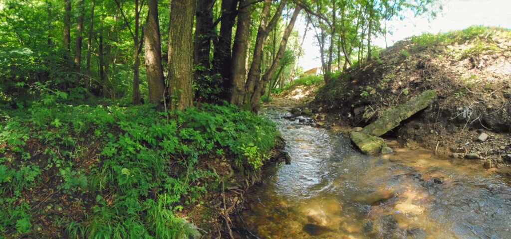 Moštenický potok. Breziny/Drahy. Navozená suť. (r.2021/OlympusSP810UZ)