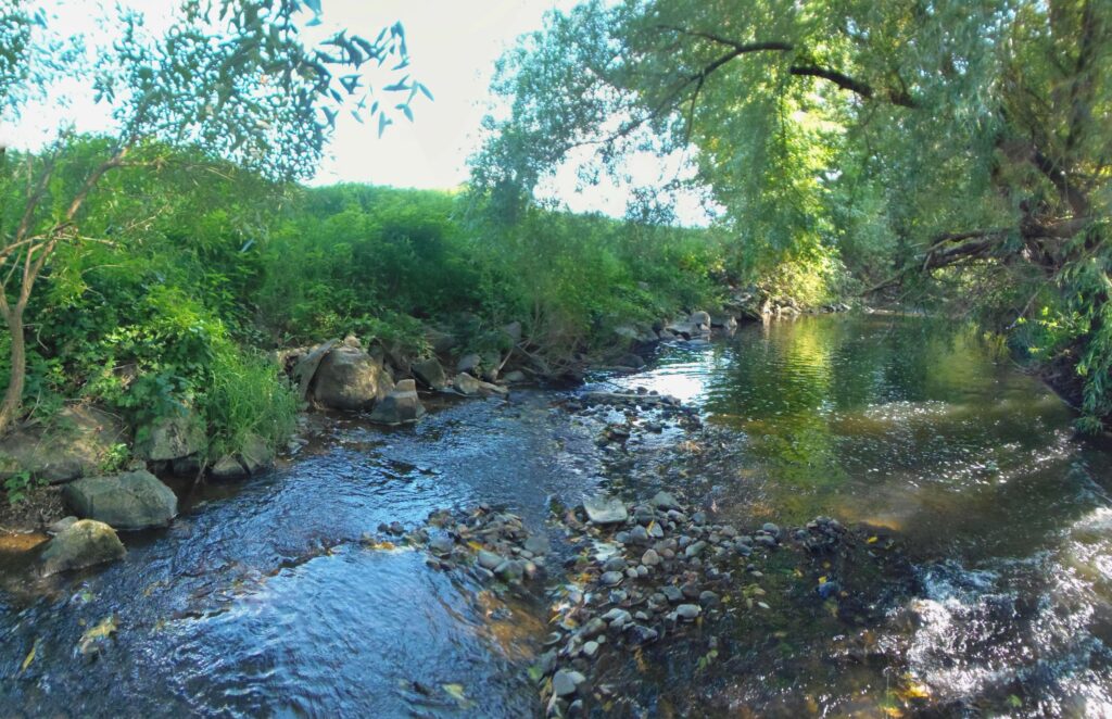 Zolná. Hrb. Pereje potoka. (r.2021/OlympusSP810UZ)