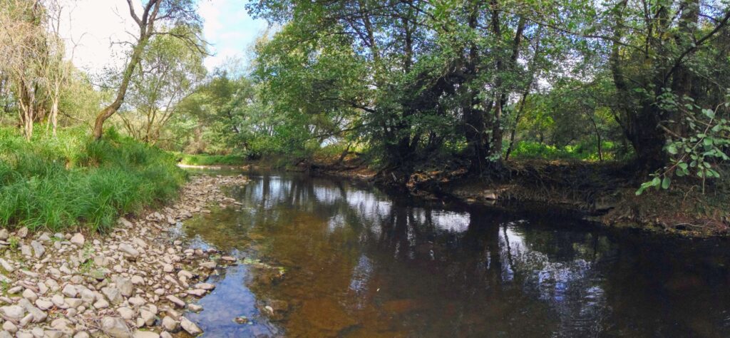Slatina. Nad Slatinkou. Riečka a jej prirodzené brehy. (r.2021/OlympusSP810UZ)