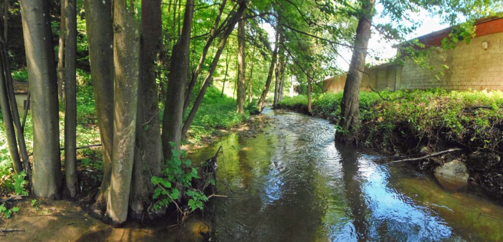 Moštenický potok. Breziny/Drahy. Koryto potoka. (r.2021/OlympusSP810UZ)