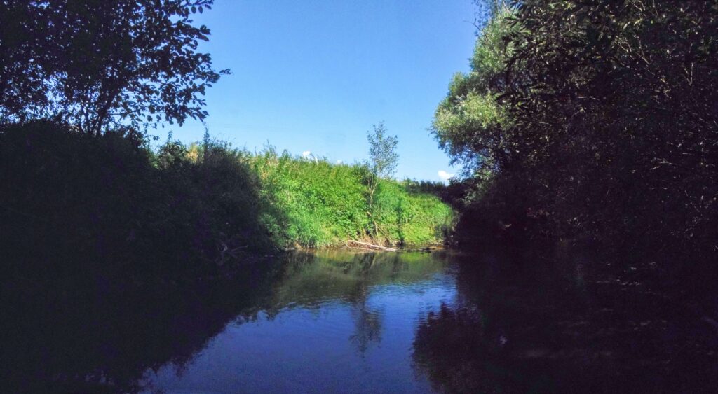 Zolná. Hrádok. Koryto potoka. (r.2021/OlympusSP810UZ)