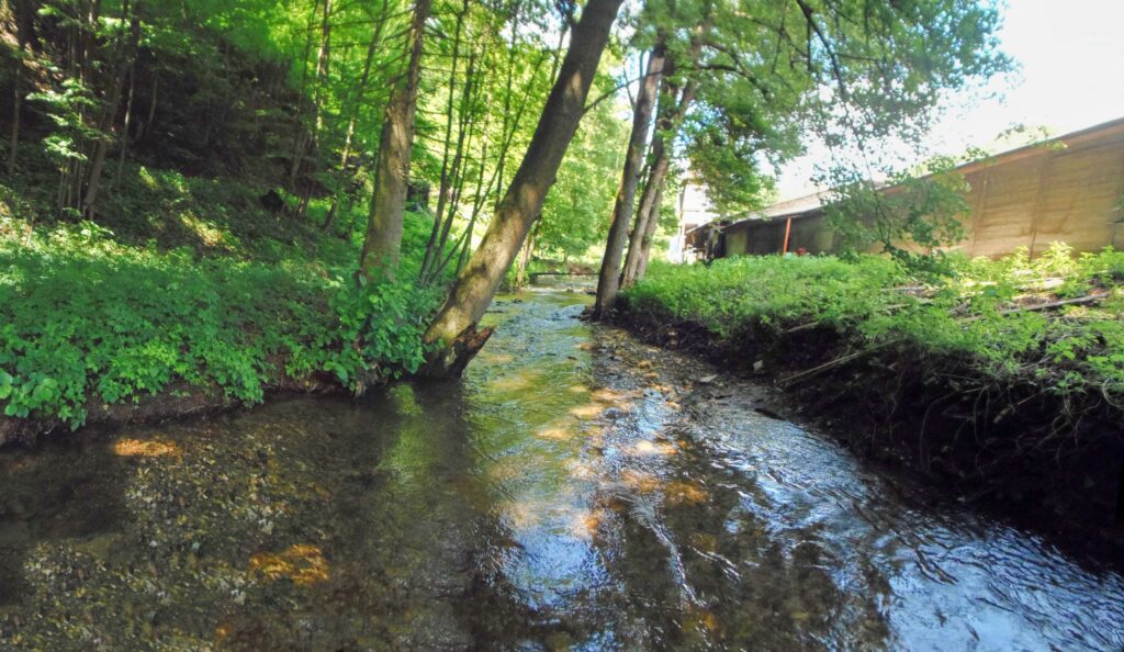 Moštenický potok. Breziny/Drahy. Brehy potoka. (r.2021/OlympusSP810UZ)