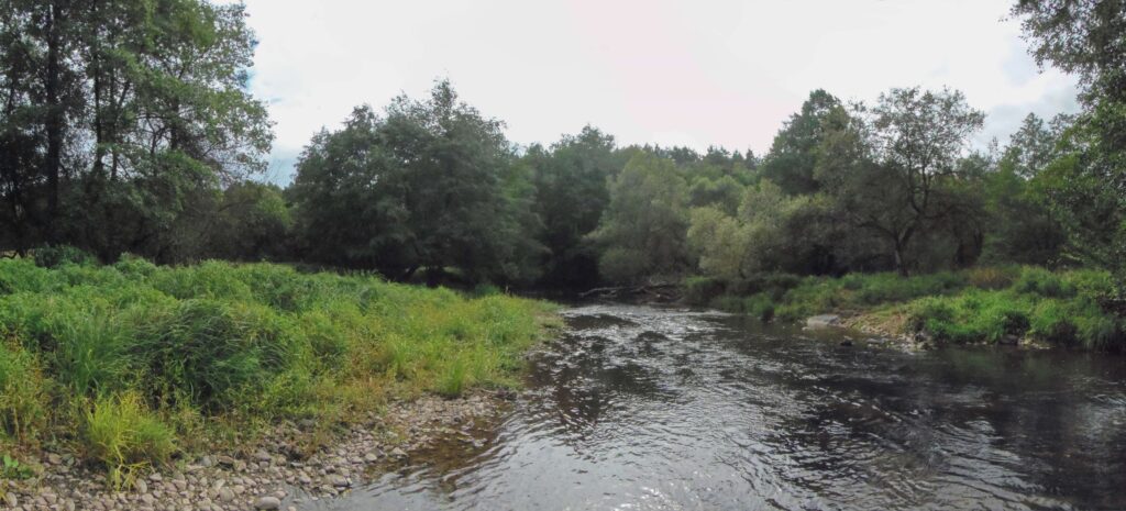 Slatina. Nad Slatinkou. Nízke brehy. (r.2021/OlympusSP810UZ)