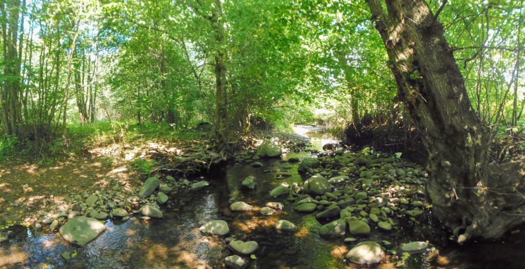 Hučava. Kalinovec. Kamenné brehy. (r.2021/OlympusSP810UZ)