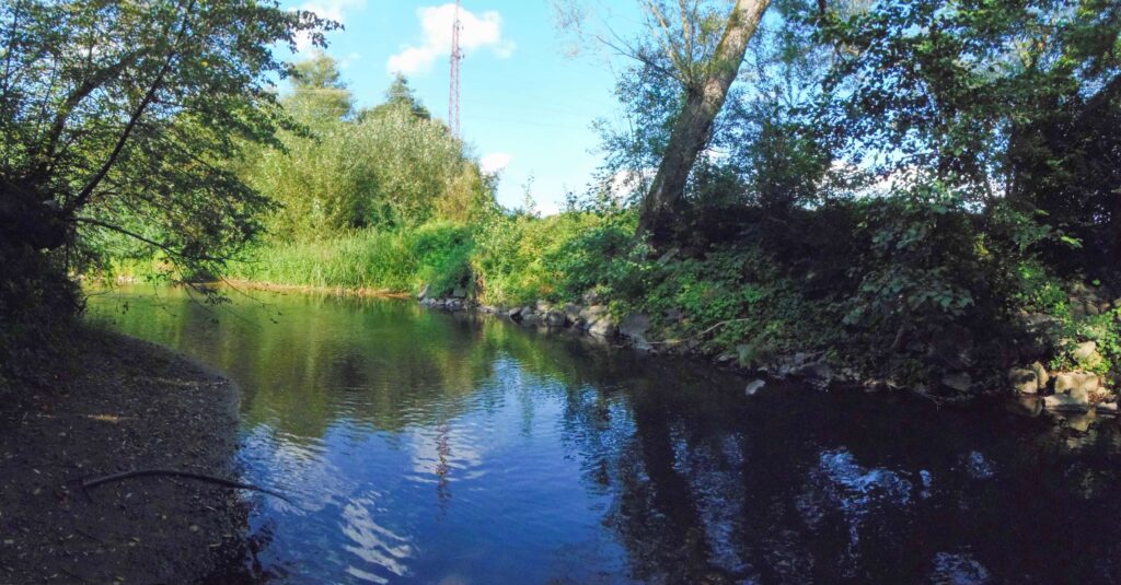 Zolná. Hrb. Elektrické vedenie nad potokom. (r.2021/OlympusSP810UZ)