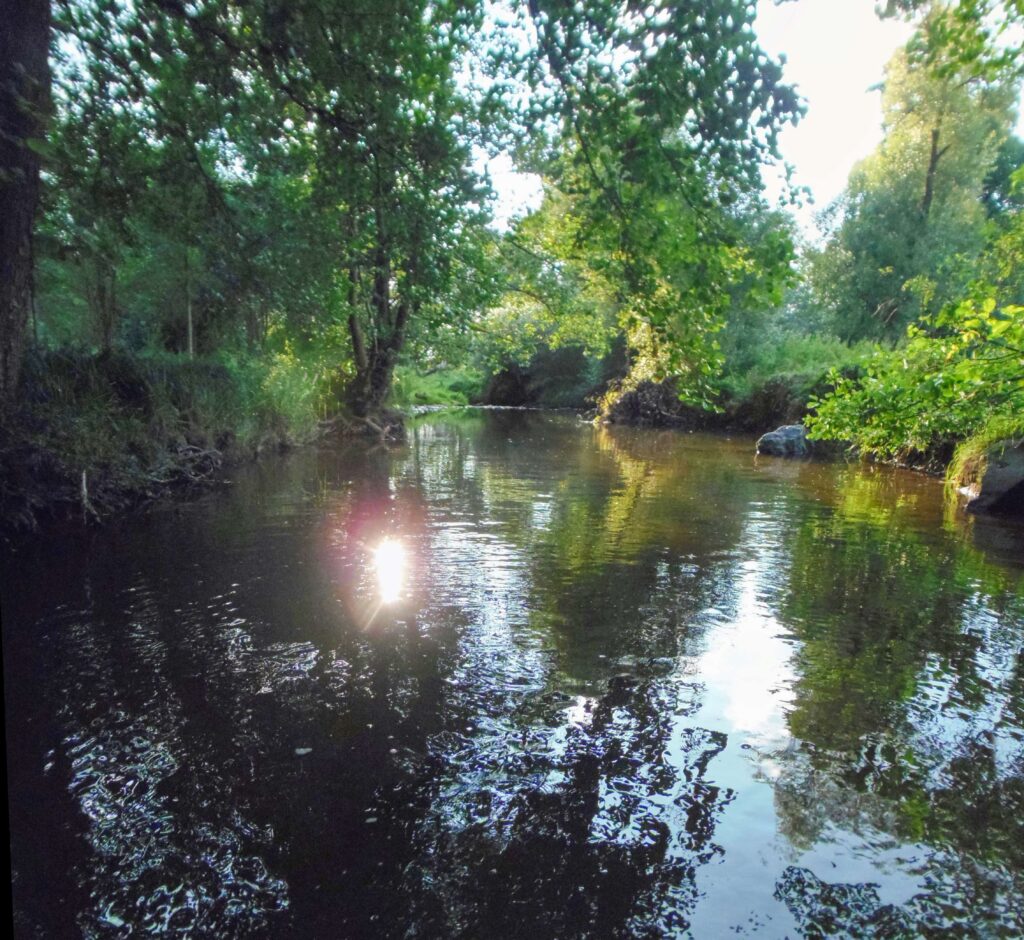 Slatina. Dolný mlyn. Slnko odrážajúce sa v hladine. (r.2021/OlympusSP810UZ)