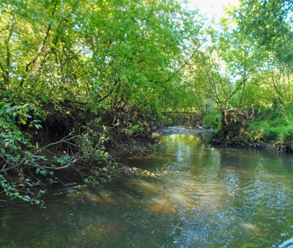 Hučava. Hrádok. Pokoj pri potoku. (r.2021/OlympusSP810UZ)