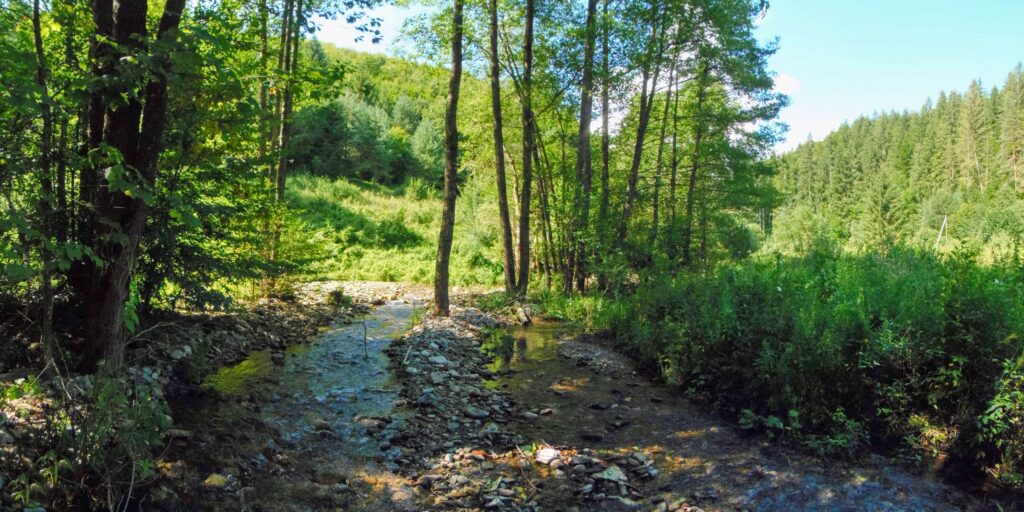 Bukovec. Roveň. Kamenné koryto. (r.2021/OlympusSP810UZ)