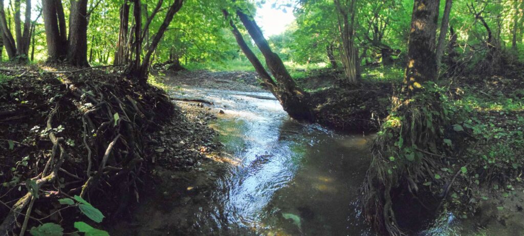 Ľupčica. Bukovinka. Prúdy potoka. (r.2021/OlympusSP810UZ)
