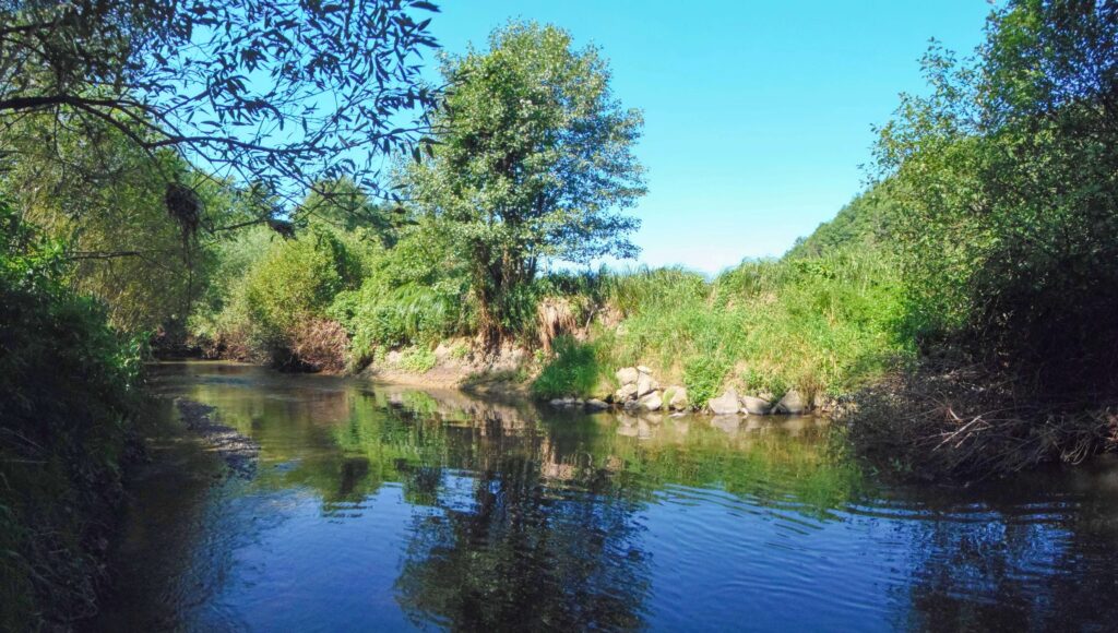Slatina. Rohy. Pokoj pri rieke. (r.2021/OlympusSP810UZ)