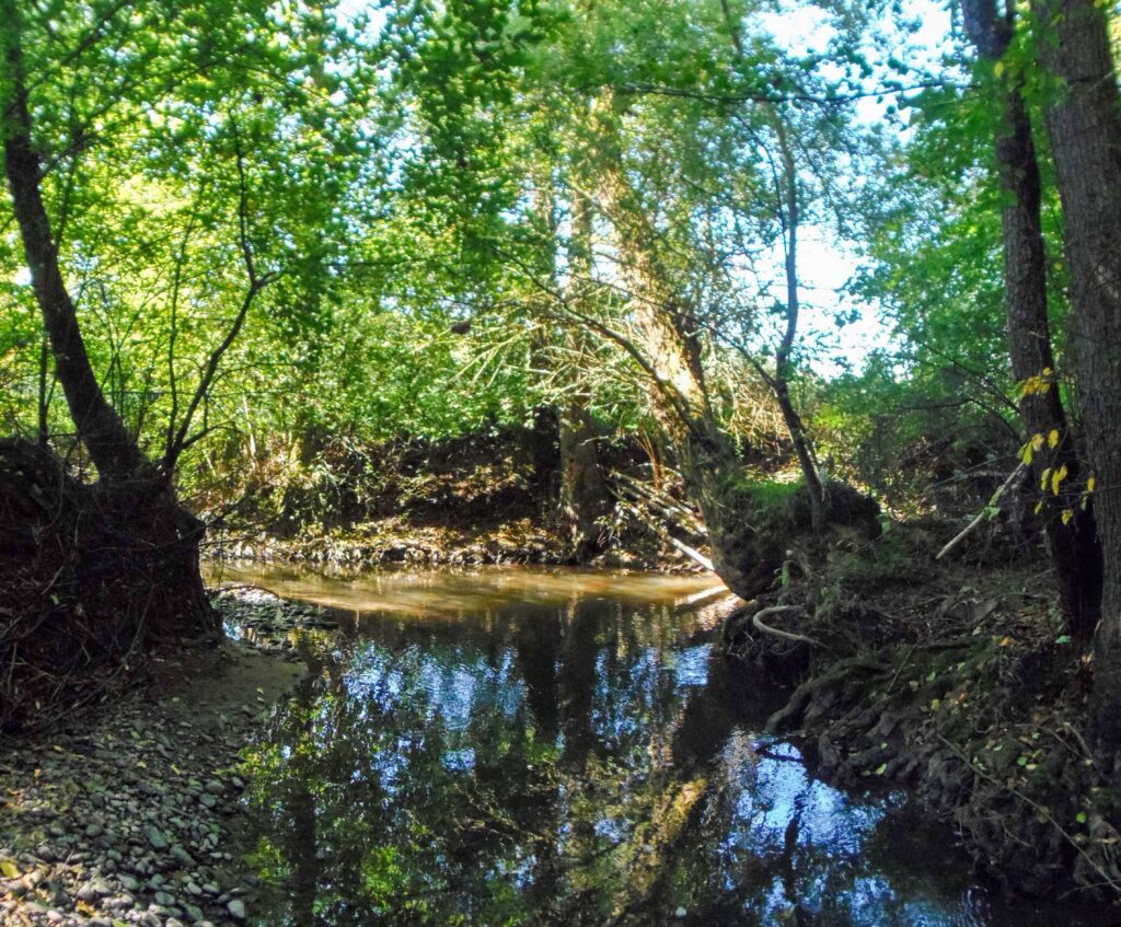 Hučava. Hrádok. Zátišie. (r.2021/OlympusSP810UZ)