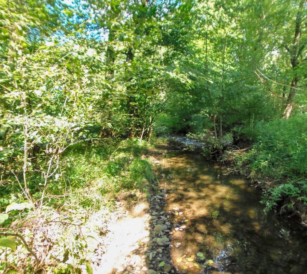 Hučava. Kalinovec. Zátišie. (r.2021/OlympusSP810UZ)