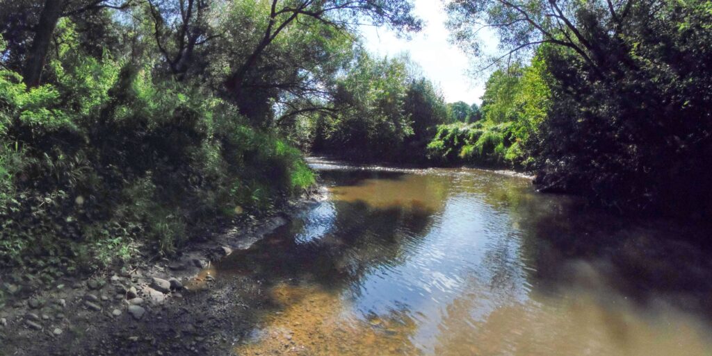 Slatina. Rohy. Zátoka. (r.2021/OlympusSP810UZ)