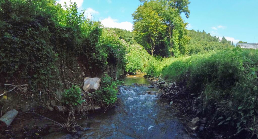 Moštenický potok. Breziny/Drahy. Hlboké koryto potoka. (r.2021/OlympusSP810UZ)