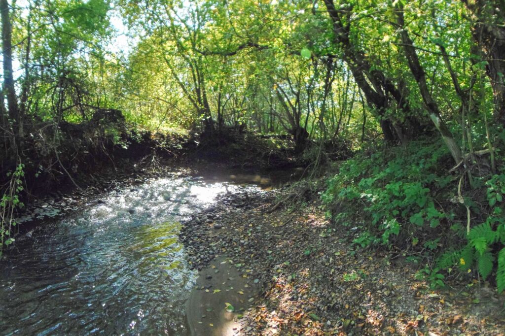 Hučava. Hrádok. (r.2021/OlympusSP810UZ)