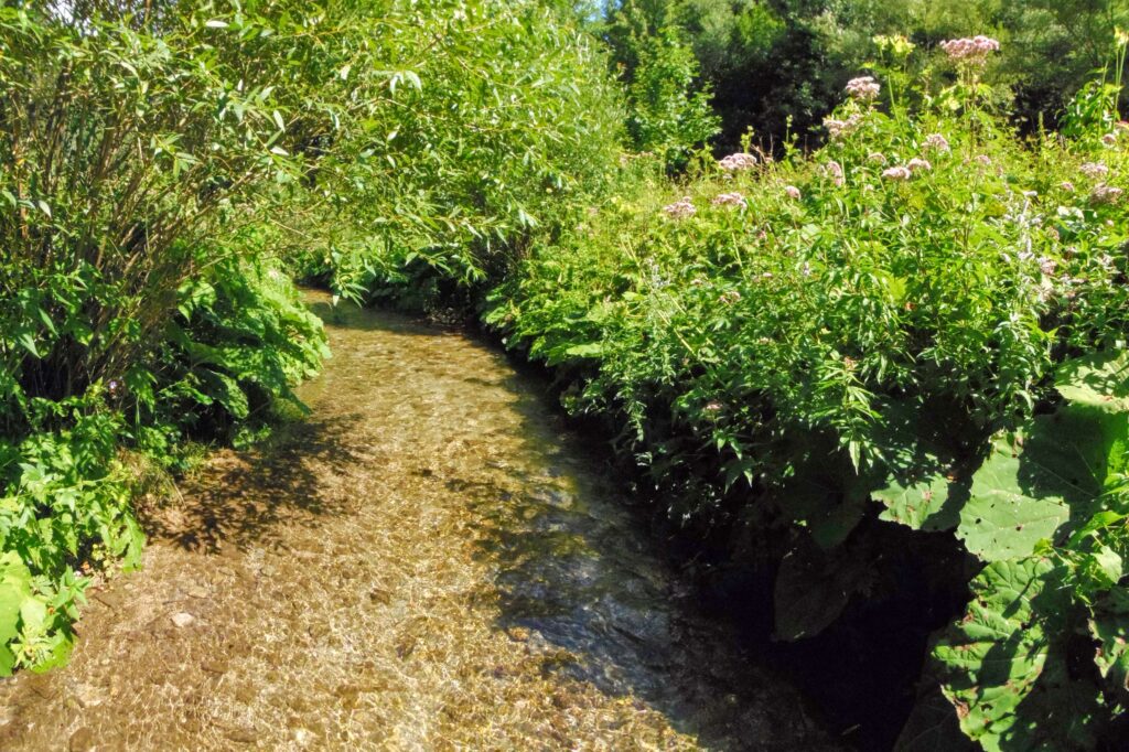Starohorský potok. Dúbie/Mišutová. Čistá voda v koryte. (r.2021/OlympusSP810UZ)