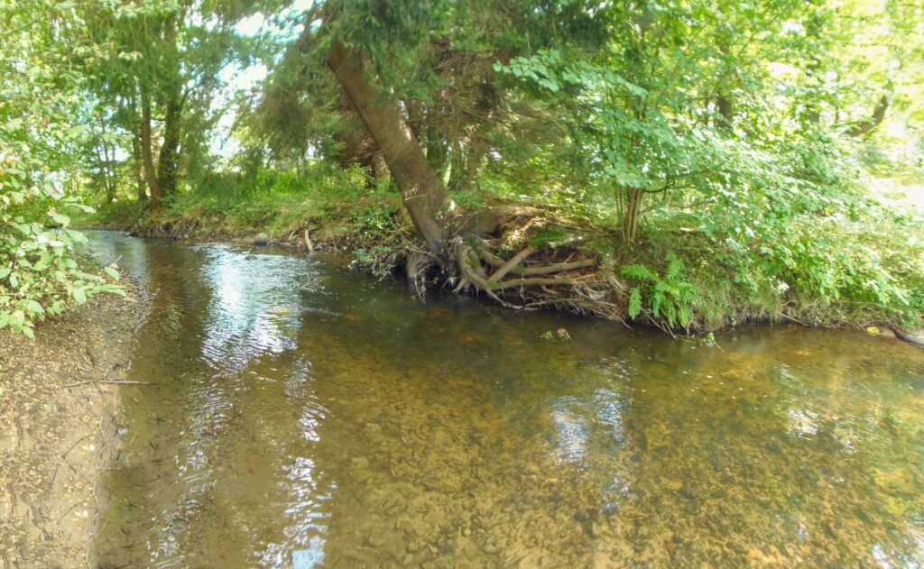 Slatina. Zubratiny. Čistá voda v koryte. (r.2021/OlympusSP810UZ)