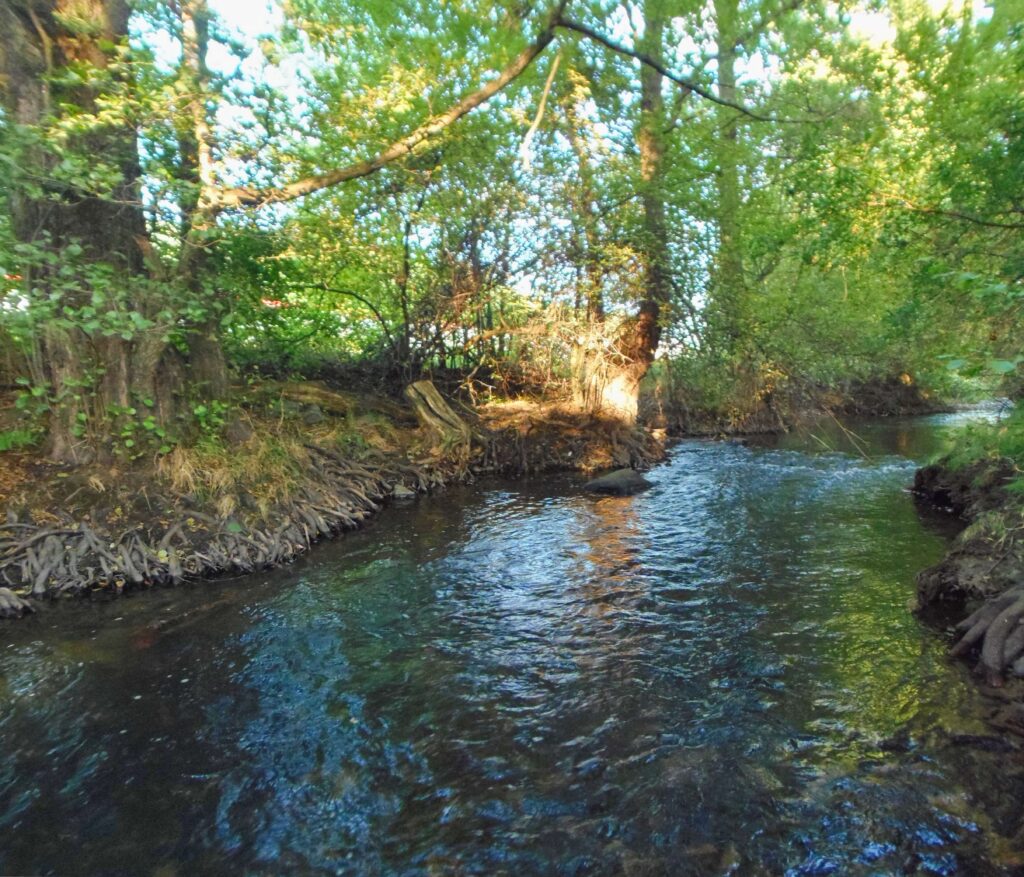 Slatina. Dolný mlyn. Prúdy riečky. (r.2021/OlympusSP810UZ)