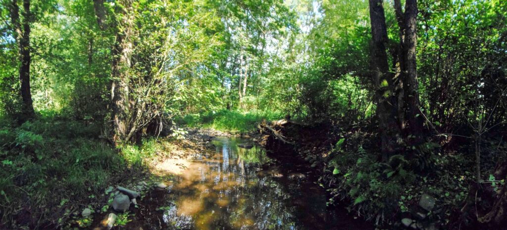 Hučava. Kalinovec. Zátišie. (r.2021/OlympusSP810UZ)