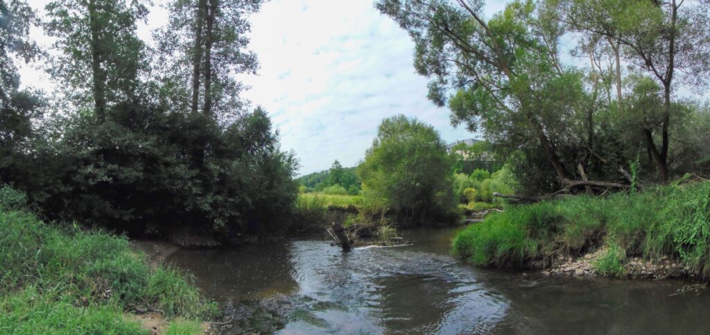 Slatina. Pod Víglašským zámkom. Meander pod zámkom. (r.2021/OlympusSP810UZ)