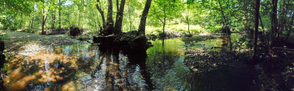Hučava. Kalinovec. Horný úsek potoka. (r.2021/OlympusSP810UZ)