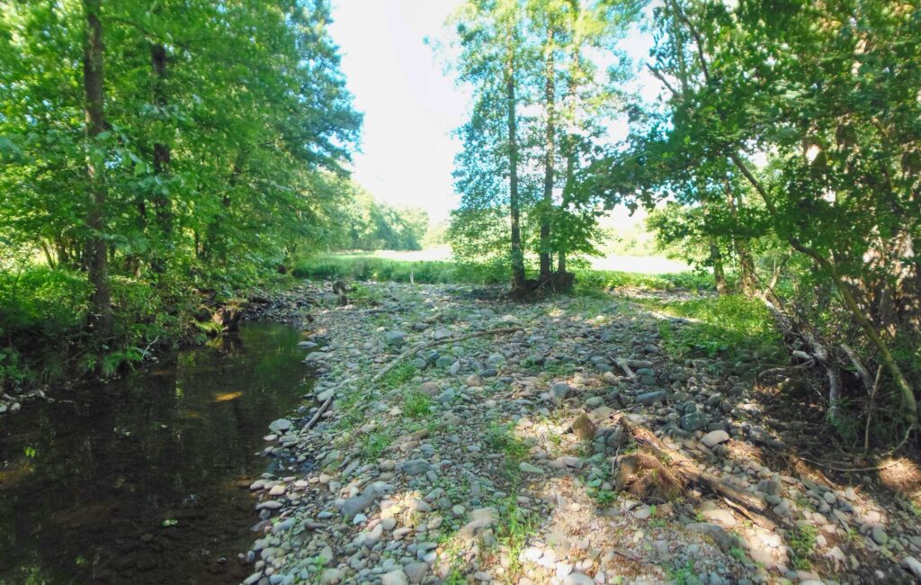 Hučava. Kalinovec. Kamenný breh. (r.2021/OlympusSP810UZ)