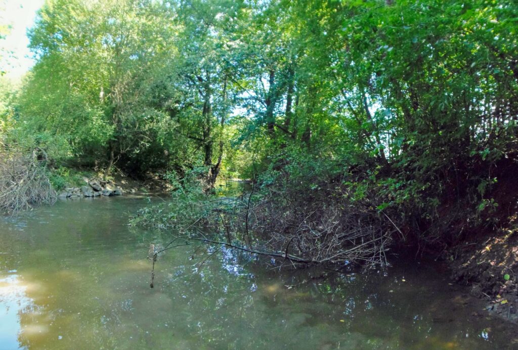 Slatina. Rohy. Rieka. (r.2021/OlympusSP810UZ)