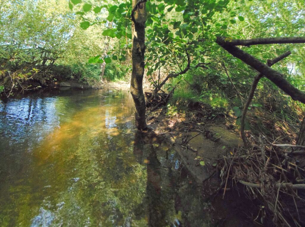 Slatina. Zubratiny. Koryto rieky. (r.2021/OlympusSP810UZ)