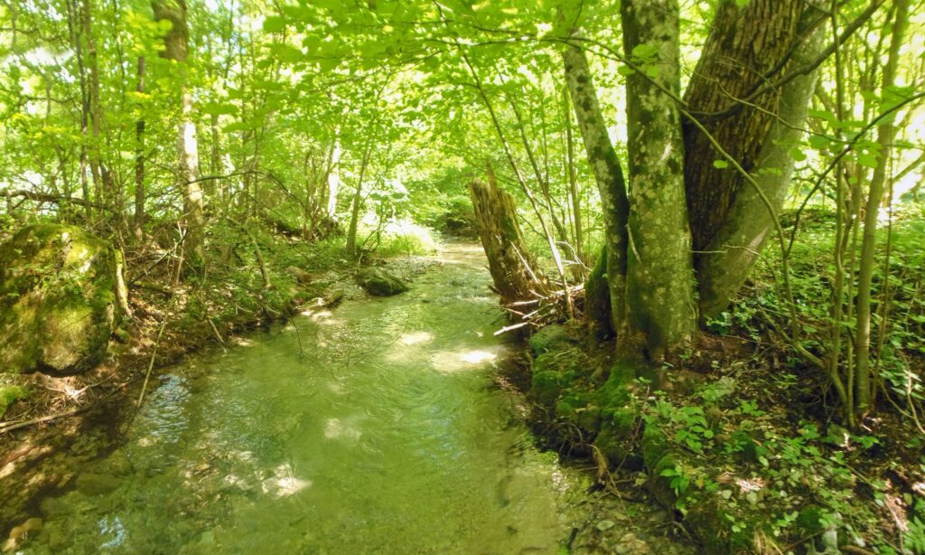 Starohorský potok. Dúbie/Mišutová. Tok potoka. (r.2021/OlympusSP810UZ)