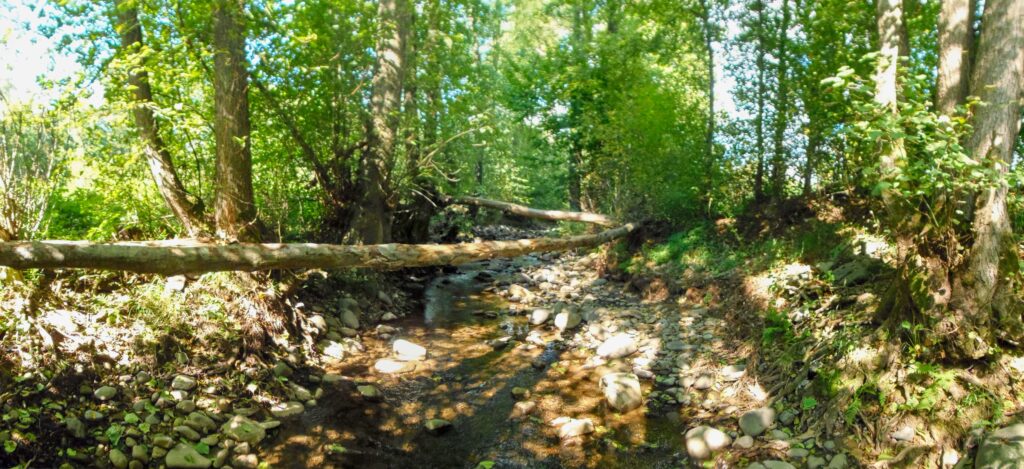 Hučava. Kalinovec. Nízky prietok. (r.2021/OlympusSP810UZ)