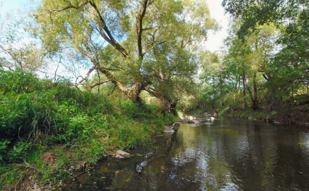 Slatina. Nad Slatinkou. Kamenné koryto riečky. (r.2021/OlympusSP810UZ)