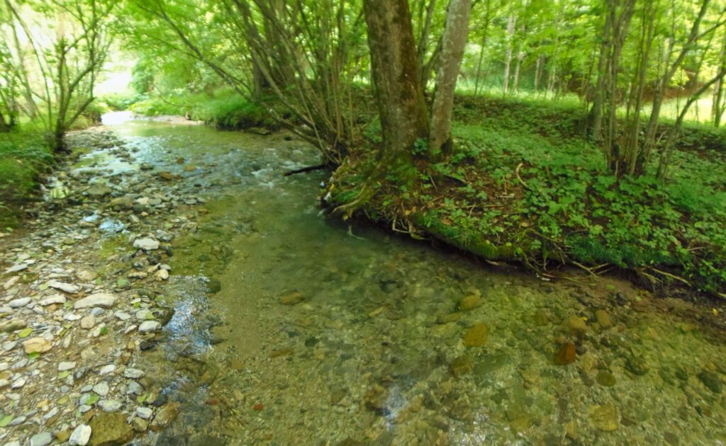 Starohorský potok. Dúbie/Mišutová. Podmytý breh. (r.2021/OlympusSP810UZ)