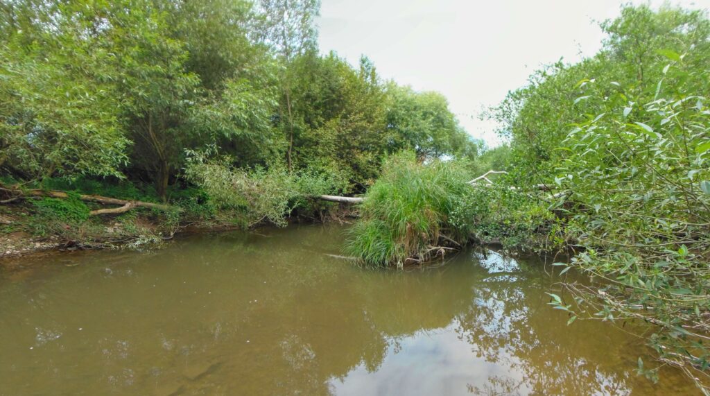 Slatina. Pod Víglašským zámkom. Teritórium štuky. (r.2021/OlympusSP810UZ)