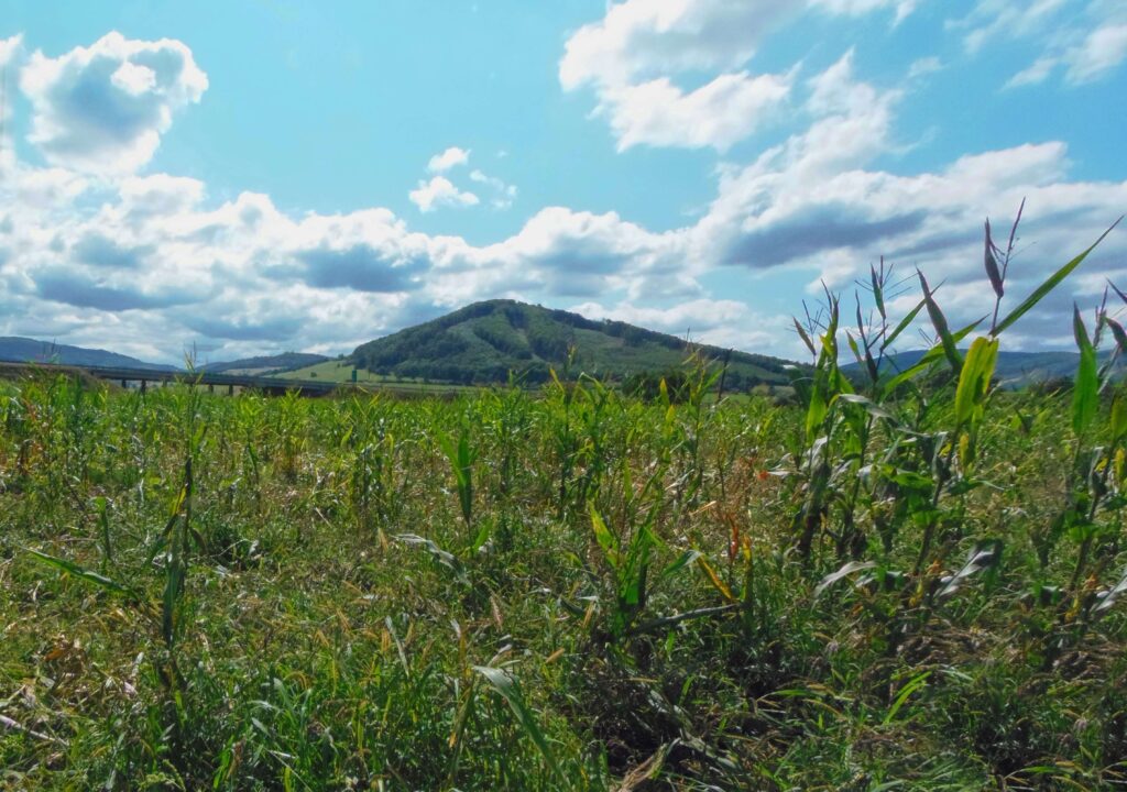 Slatina. Rohy. Krajina v okolí rieky. (r.2021/OlympusSP810UZ)