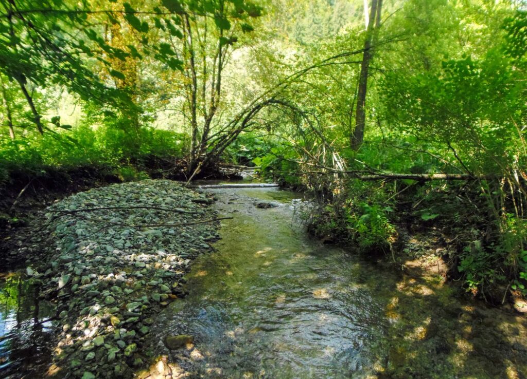 Starohorský potok. Dúbie/Mišutová. Kaskáda. (r.2021/OlympusSP810UZ)