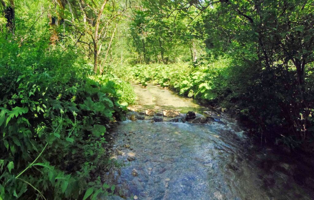Starohorský potok. Dúbie/Mišutová. Kaskáda. (r.2021/OlympusSP810UZ)