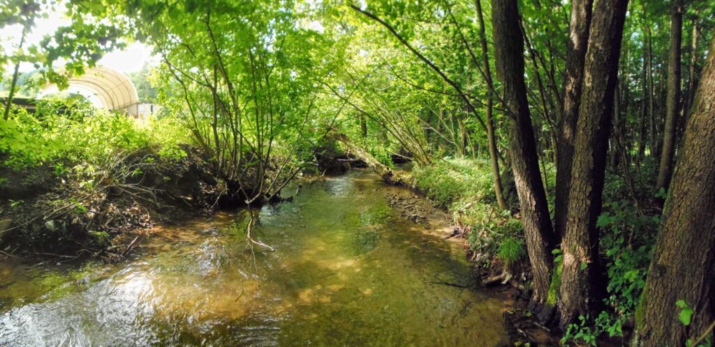 Moštenický potok. Breziny/Drahy. Koryto potoka. (r.2021/OlympusSP810UZ)