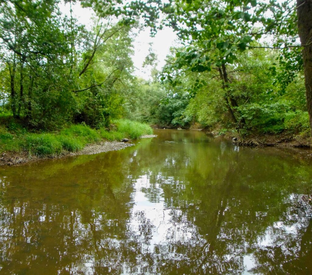 Slatina. Pod Víglašským zámkom. Rieka. (r.2021/OlympusSP810UZ)