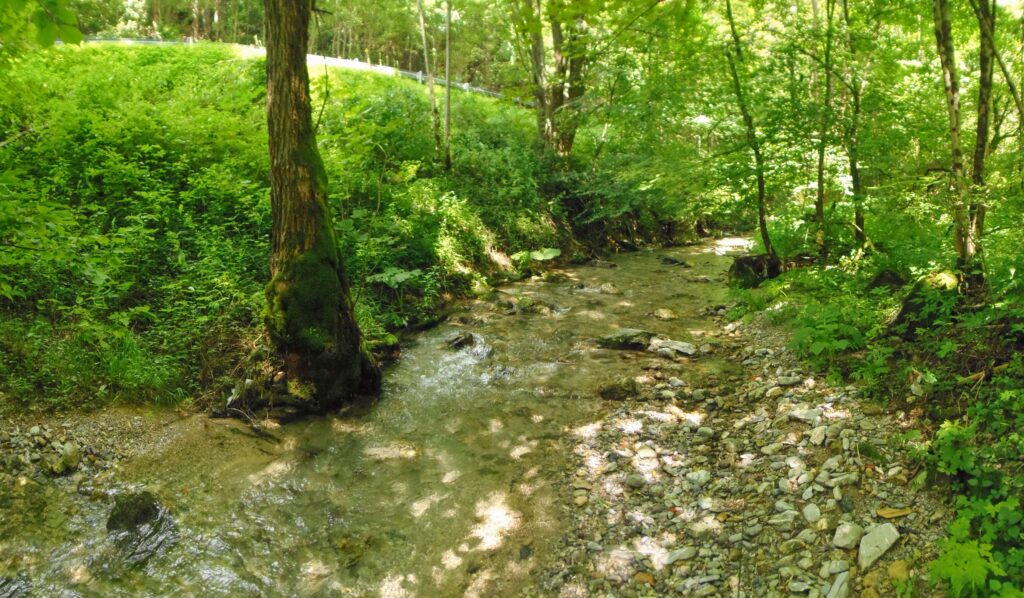 Starohorský potok. Dúbie/Mišutová. Plytký tok. (r.2021/OlympusSP810UZ)