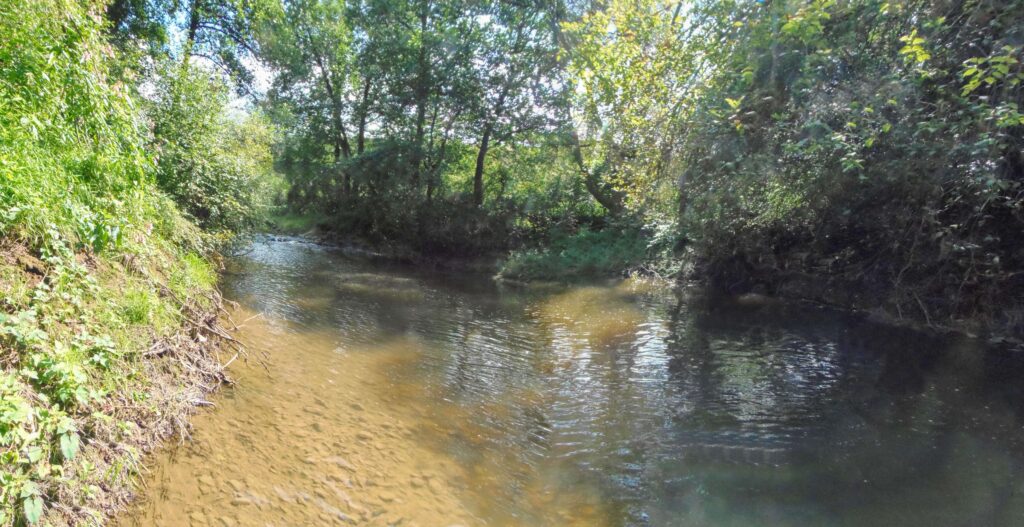 Slatina. Rohy. Prirodzené koryto. (r.2021/OlympusSP810UZ)