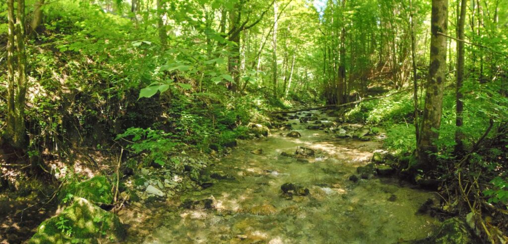 Starohorský potok. Dúbie/Mišutová. Bystrina. (r.2021/OlympusSP810UZ)