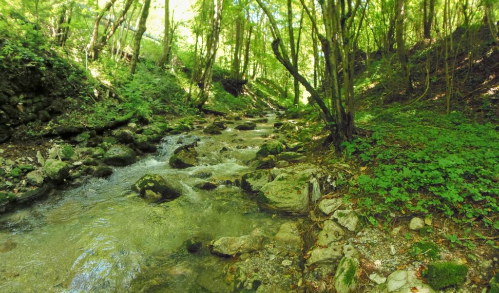Starohorský potok. Dúbie/Mišutová. Kamenné koryto. (r.2021/OlympusSP810UZ)